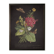 Red and Yellow Flowers with Butterflies in Copper and Black Frame