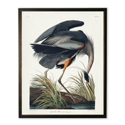 Black Heron in Black and Copper Frame
