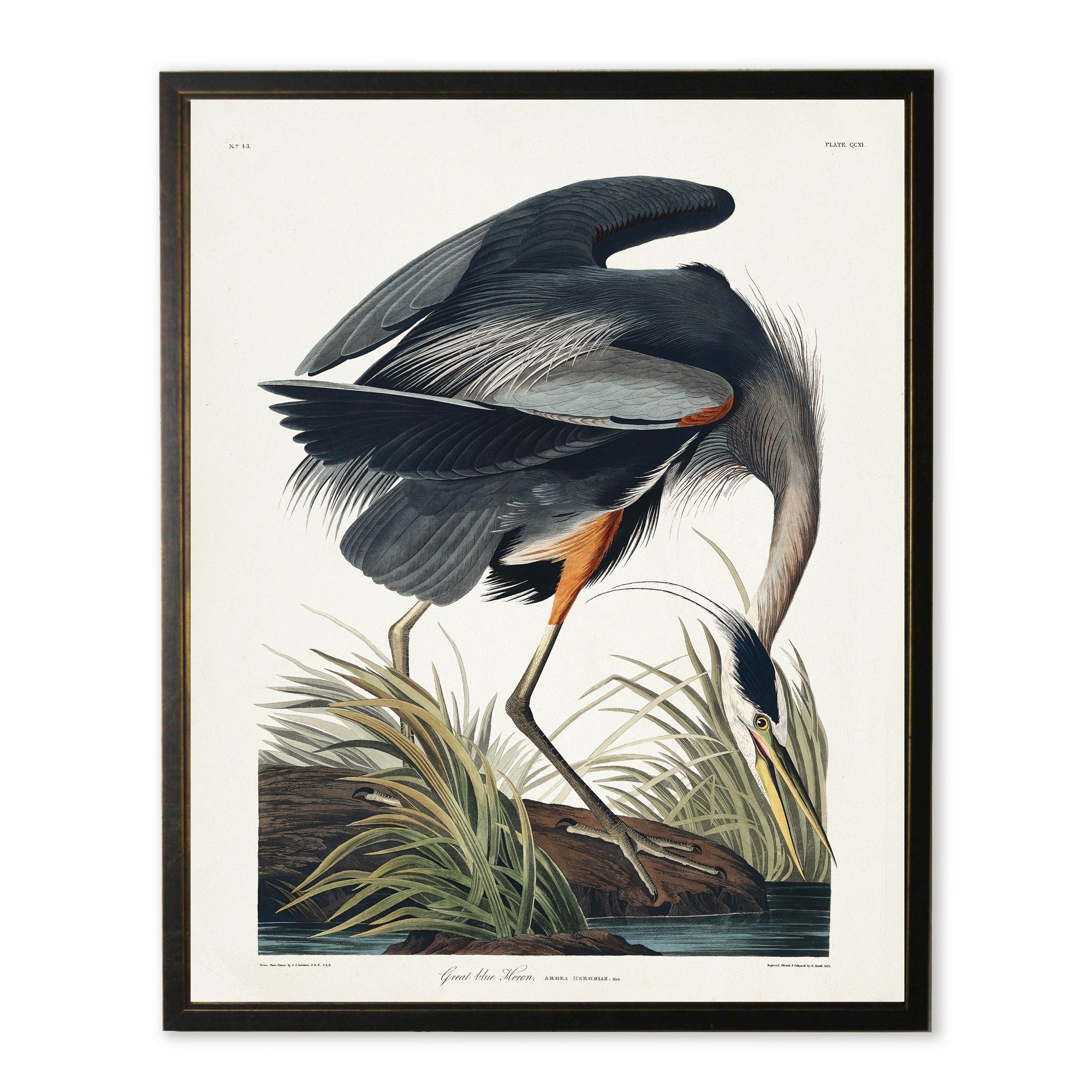 Black Heron in Black and Copper Frame