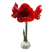 Red Flower White Wax Silver Lacquer Splatter 18 Bulbs