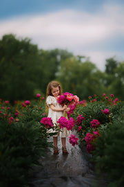 Weekend Dress | Cottage Floral