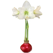 White Flower Red Lacquer Base 36+
