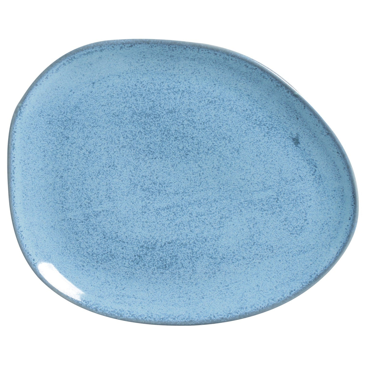 Oval Dinner Plate Set of 6