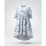 Aoki Dress-Blue Toile