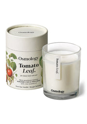 Tomato Leaf Scented Candle - Tomato leaf, Fresh grass and Lime