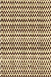 Basic Cream & Brown