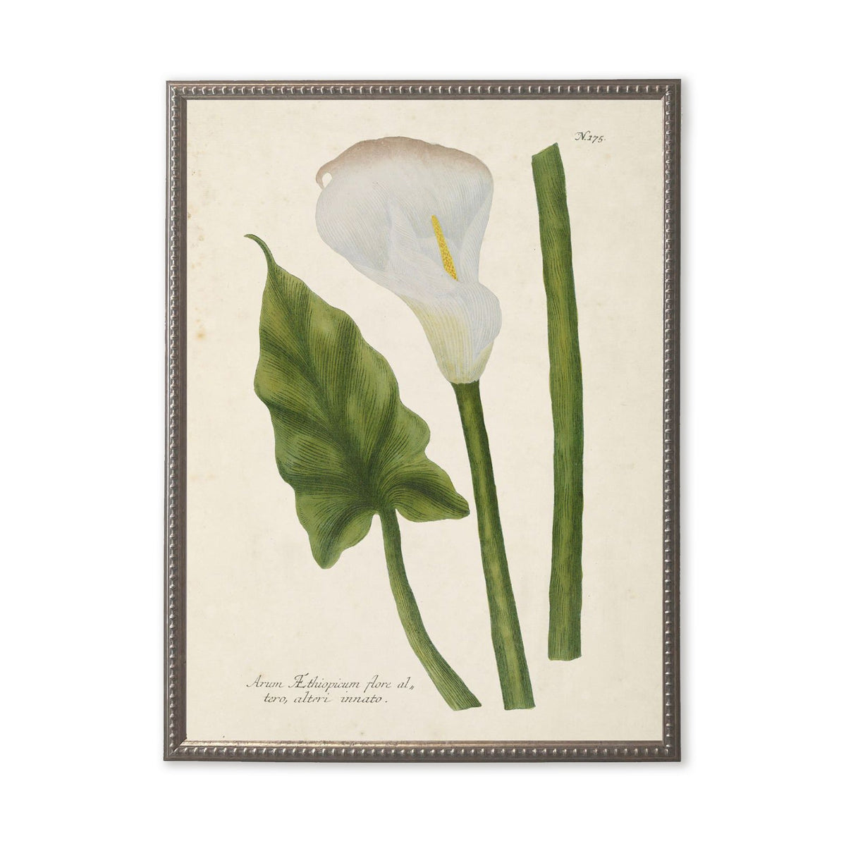 White Flower, Leaf, and Stem in Silver-Beaded Frame