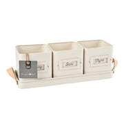 Burgon & Ball® 3 Herb Pots with Leather Handled Tray, Stone