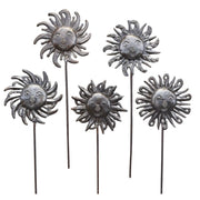 Bouquet of Shine (Set of 5 - Assorted)