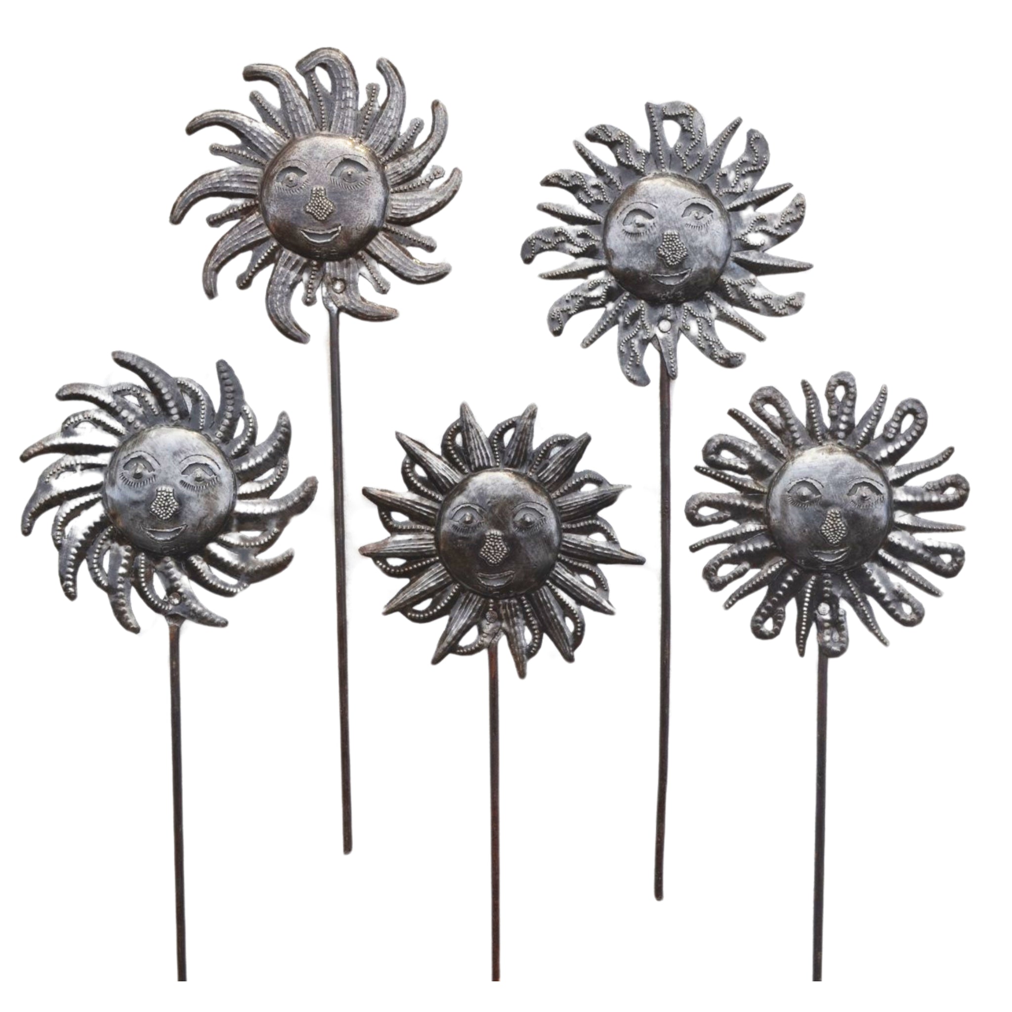 Bouquet of Shine (Set of 5 - Assorted)