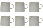 Set of 6 Aquarius Sage Mug