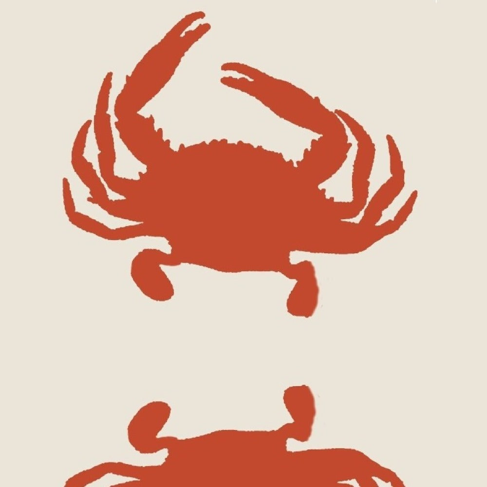 Double Crab Orange & Cream