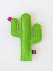 KITTY CACTUS