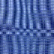 Basic Blue & White