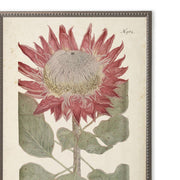 Red Flower in Silver-Beaded Frame
