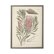 Pink Flower in Silver-Beaded Frame