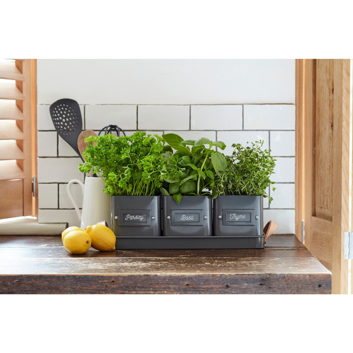 Burgon & Ball® 3 Herb Pots with Leather Handled Tray, Charcoal