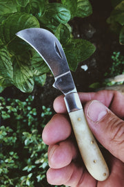 Evangeline's Vintage Foraging/Pruning Knife