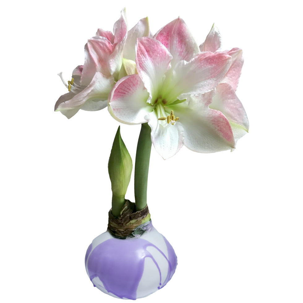 Cherry Blossom Lilac Splatter Wax 36+ 18 Bulbs/Crate