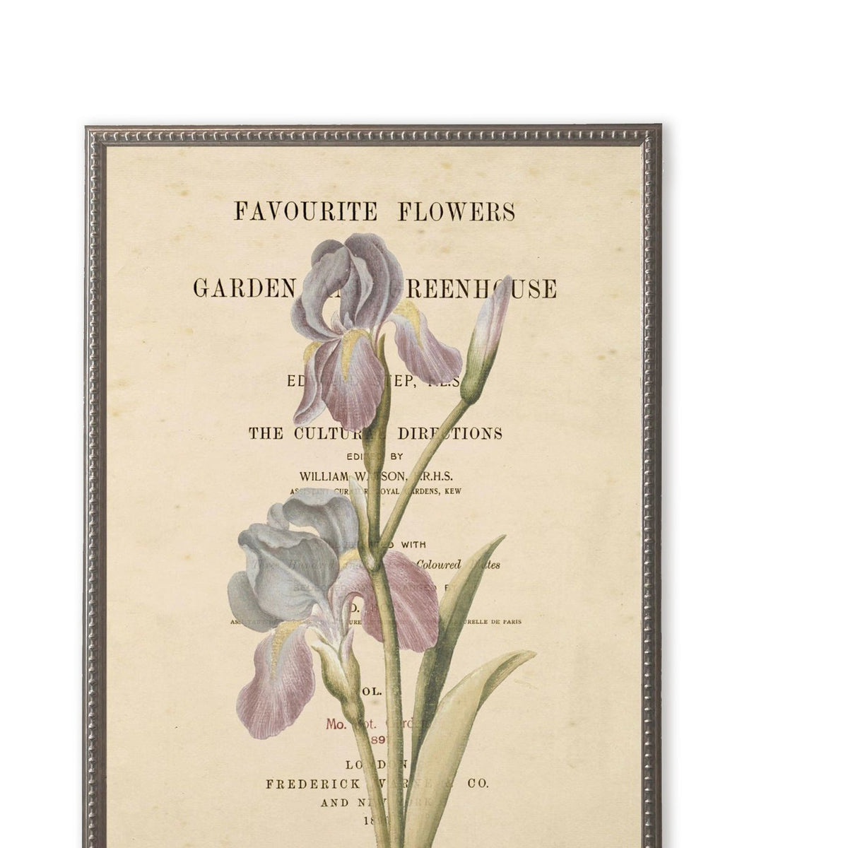 Purple Flower on Book Page in Silver-Beaded Frame