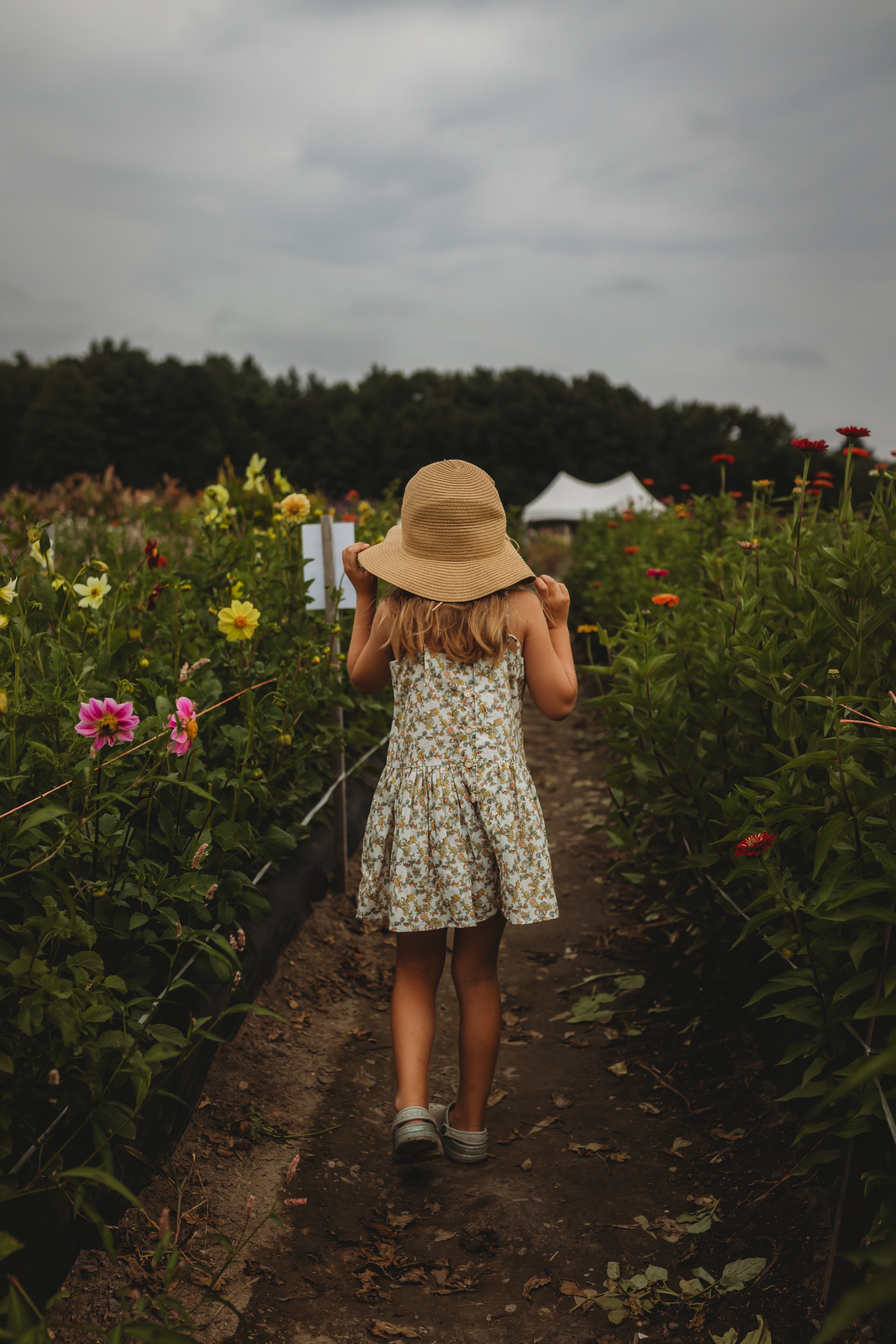 Hikari Pintuck Dress| Mustard Sage Blossom
