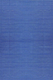 Basic Blue & White
