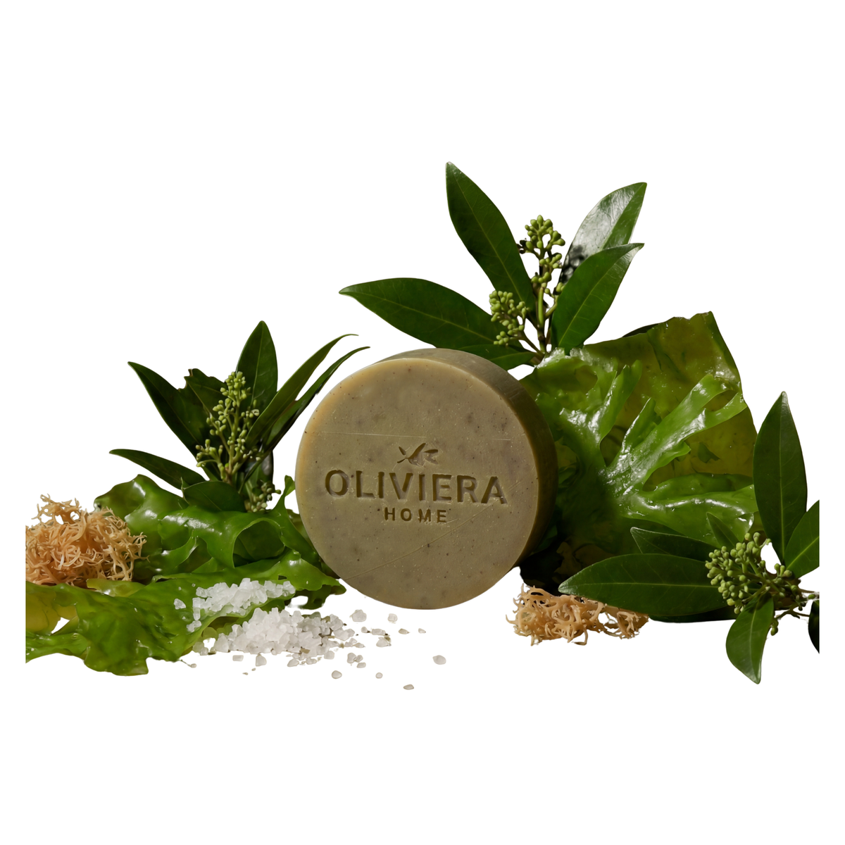 Seaweed Bar Soap Trio