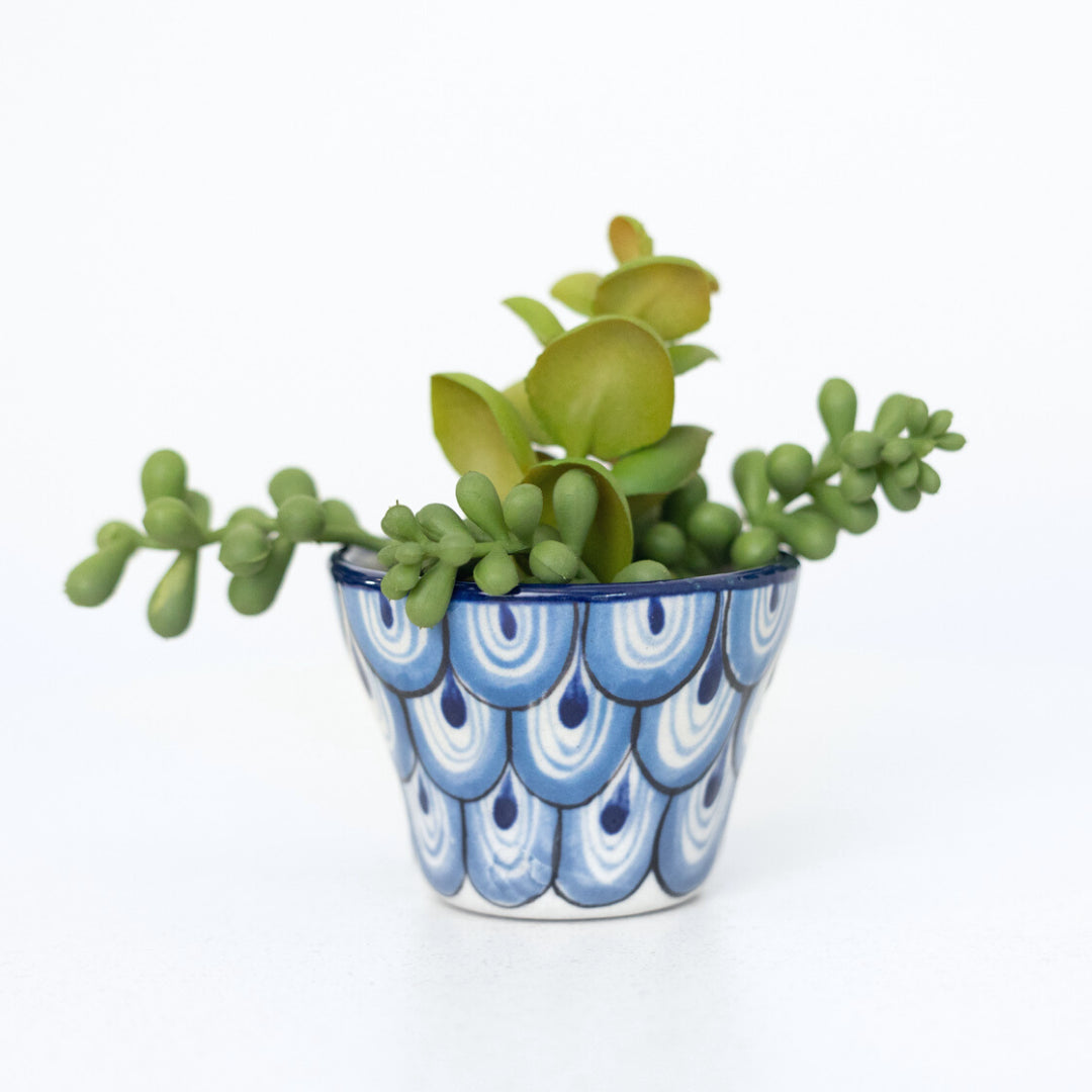 Ceramic Succulent Planter