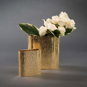 Cosmos Vases