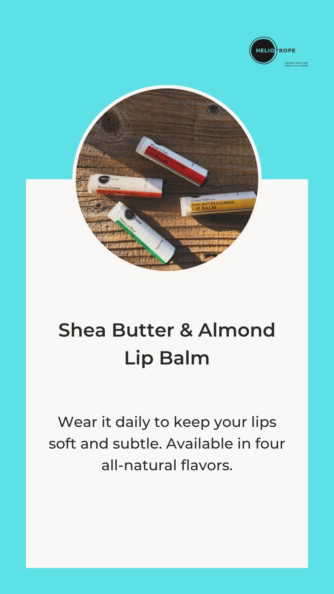 Shea Butter & Almond Lip Balm