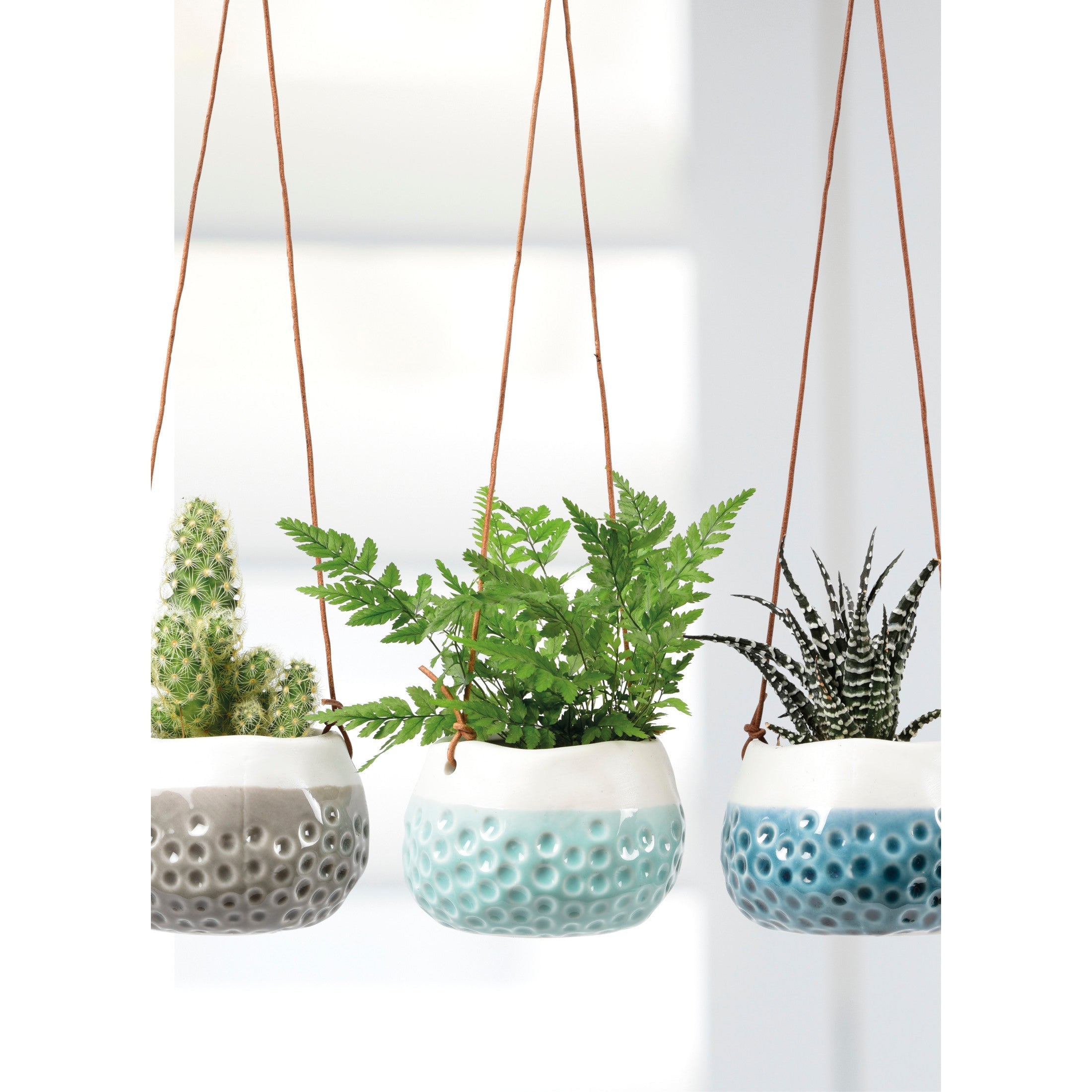 Burgon & Ball® Hanging Baby Dotty Trio Vases