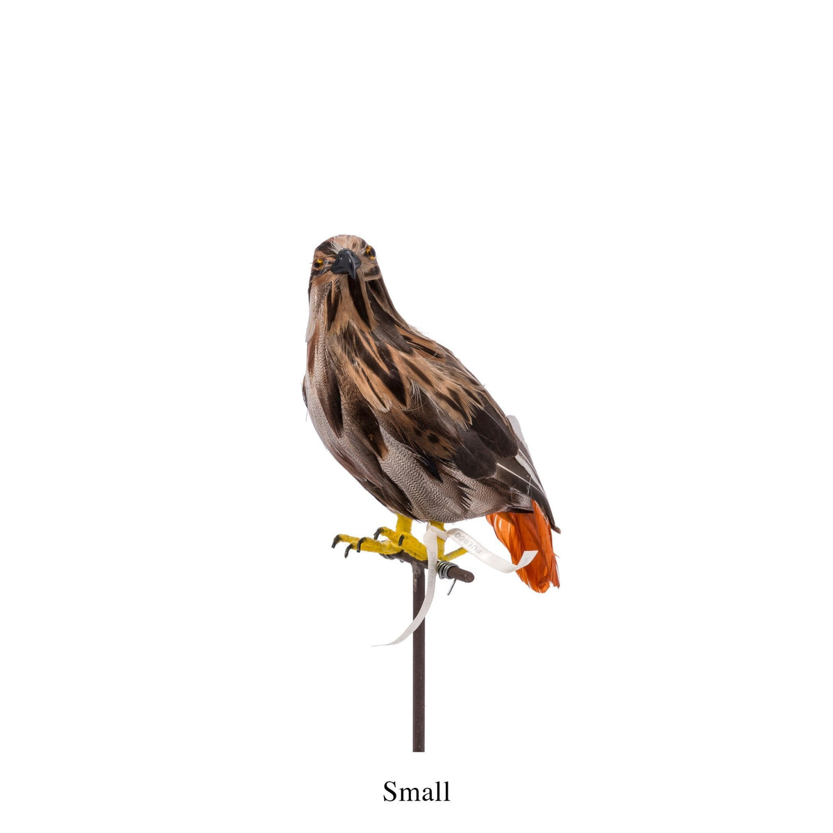 Artificial Birds / Hawk
