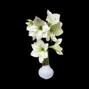 Luna Flower with White Wax Base 36+ 18 Bulbs/Case