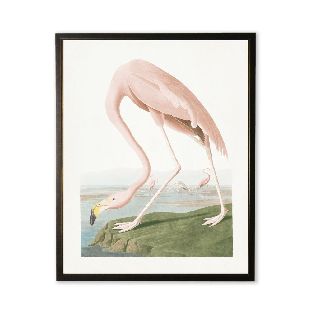 Flamingo in Black and Copper Frame