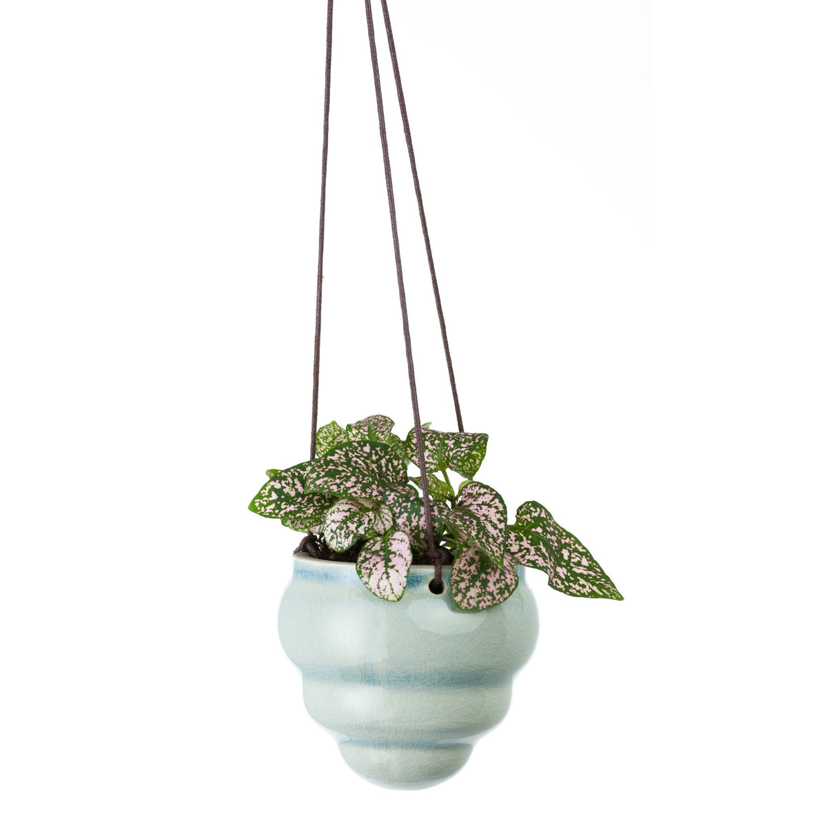 Burgon & Ball® Hanging Baby Bombini Trio Vases